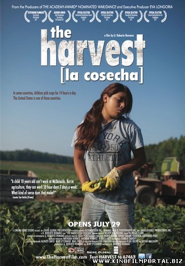 Урожай / The Harvest (2013) смотреть онлайн Урожай / The Harvest (2013) смотреть онлайн смотреть онлайн